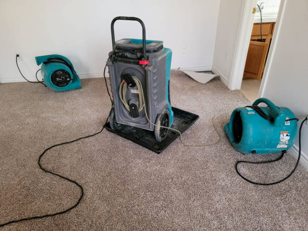 Best Local water damage restoration  in Sissonville, WV