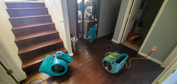Best Carpet water damage restoration  in Sissonville, WV