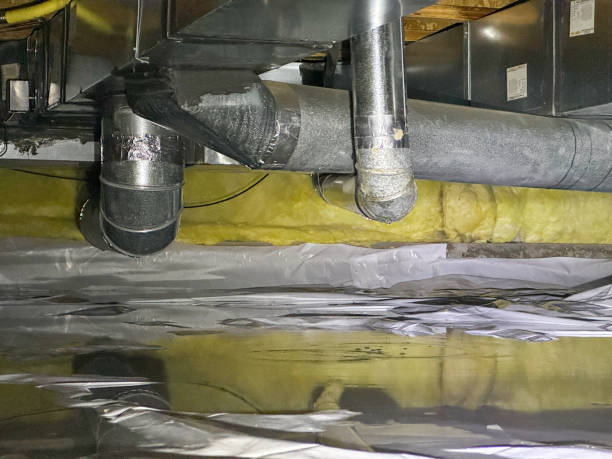 Best Mold removal after water damage  in Sissonville, WV