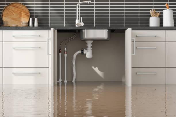 Best Ceiling water damage repair  in Sissonville, WV