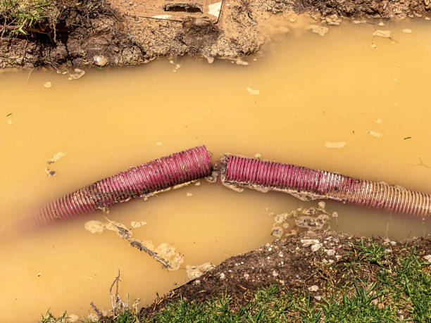 Best Water damage restoration specialists  in Sissonville, WV