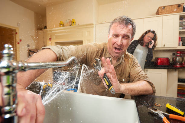 Best Water damage cleanup near me  in Sissonville, WV